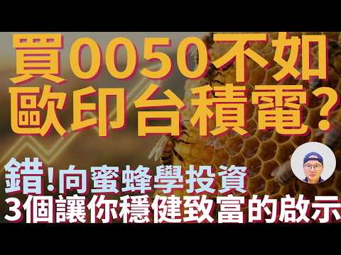 買0050不如直接買台積電？用蜂群思維打造穩健成長財富